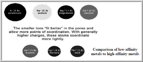zeolite compasison metal sizes